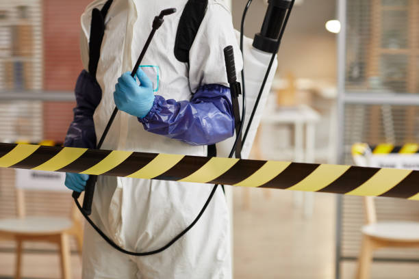 Professional Sewage Cleanup technician working in Saratoga Springs, UT